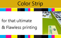 Print Color Strip